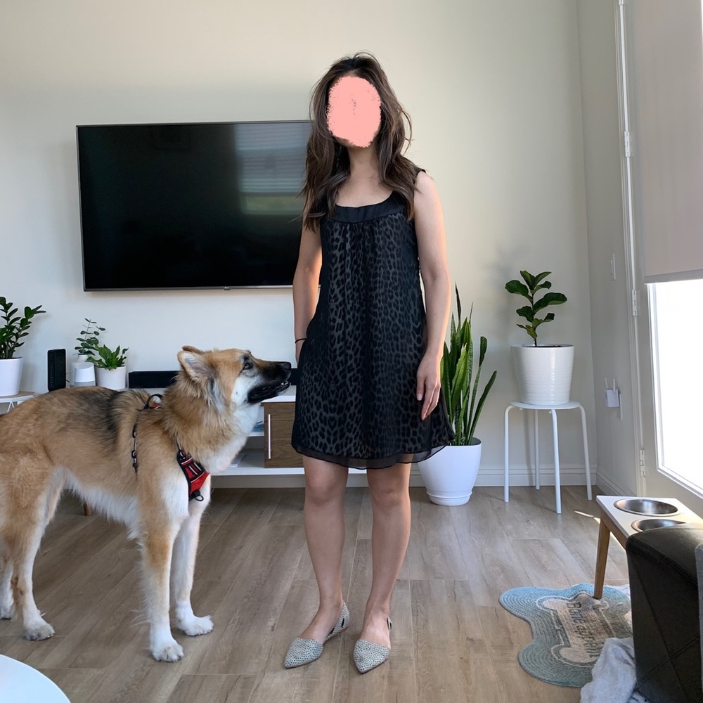 Boutique leopard print lining w/ black mesh dress